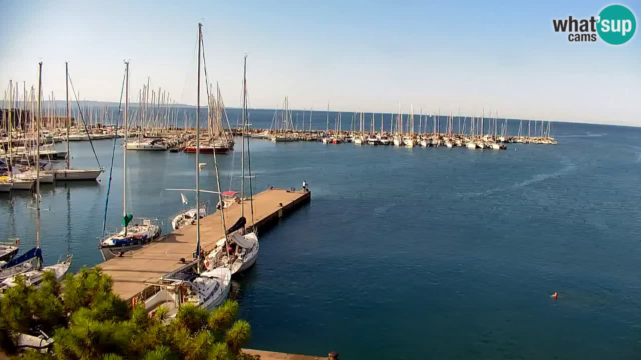 Webcam Bahía de Sistiana – Vista en directo del puerto deportivo y la costa