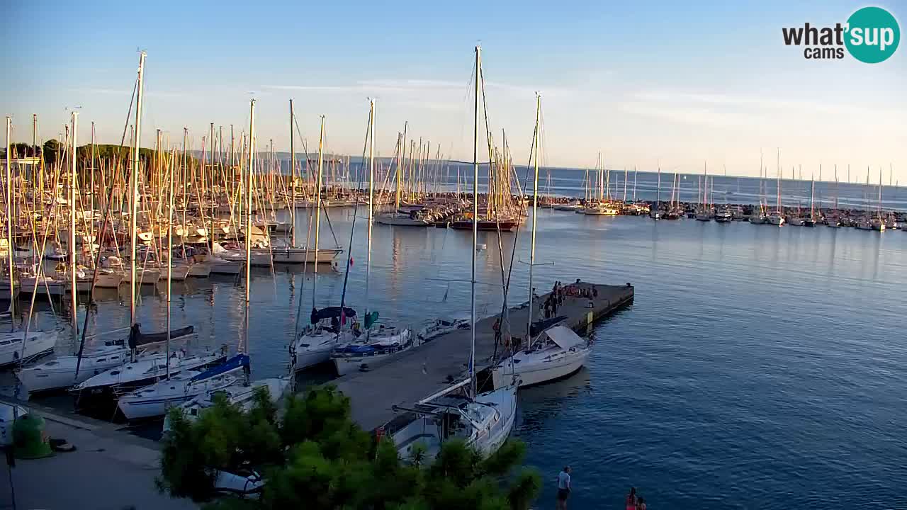 Web kamera Sistiana Uvala – Pogled uživo na marinu i zaljev