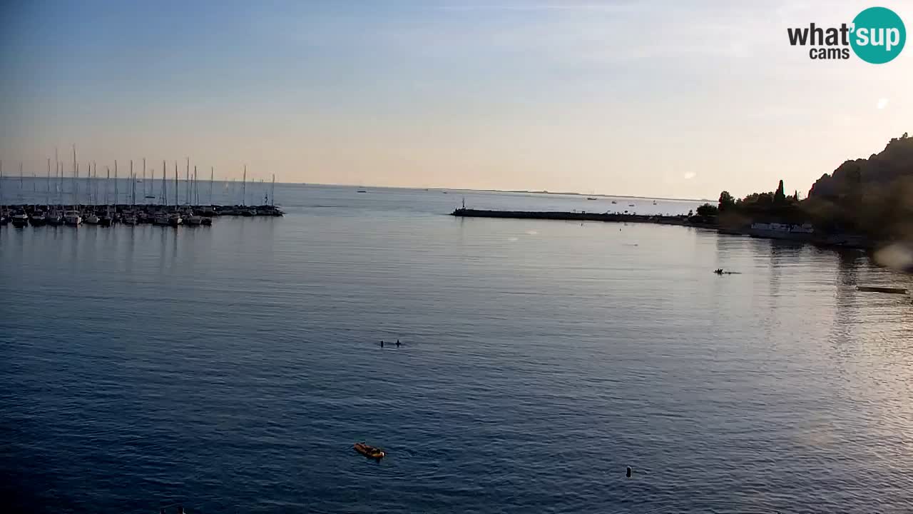 Web kamera Sistiana Uvala – Pogled uživo na marinu i zaljev