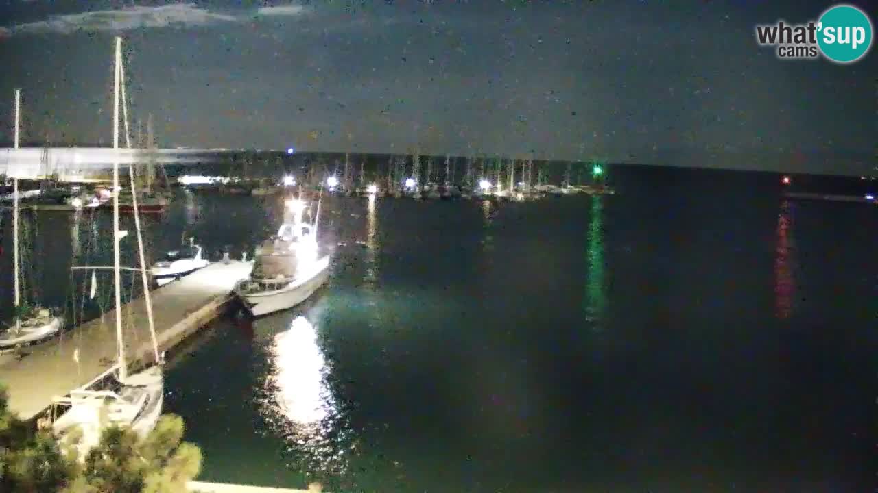 Spletna kamera Sesljanski zaliv – Pogled v živo na marino in zaliv
