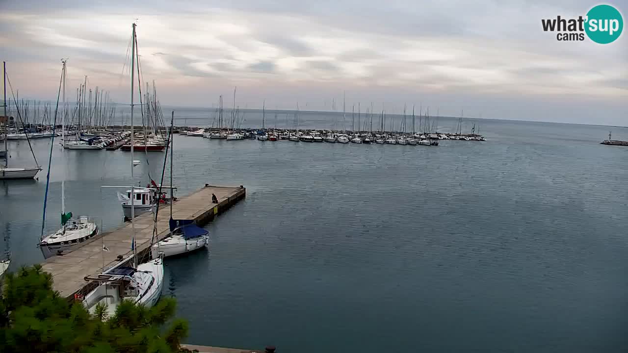 Webcam Sistiana Bucht – Liveblick auf Marina und Bucht