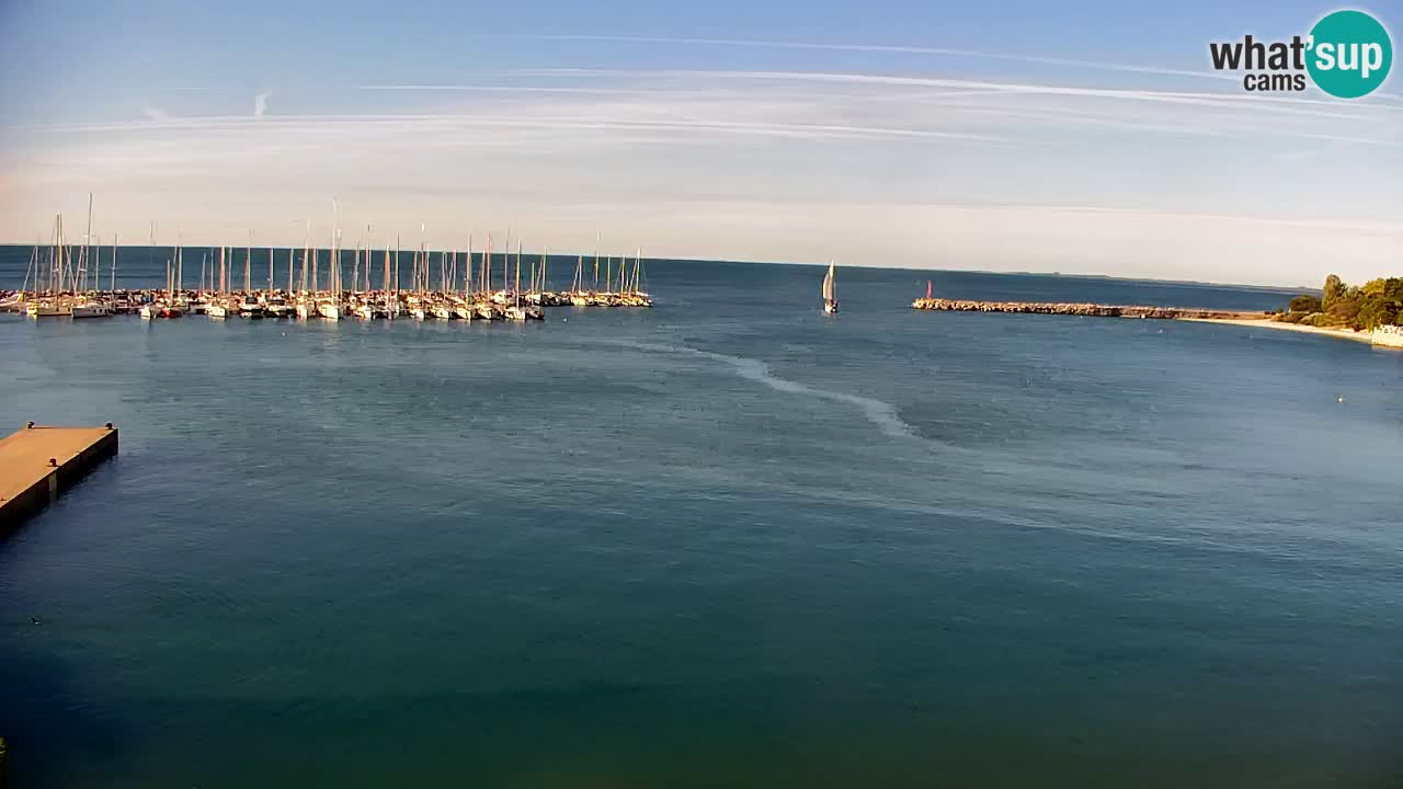 Web kamera Sistiana Uvala – Pogled uživo na marinu i zaljev