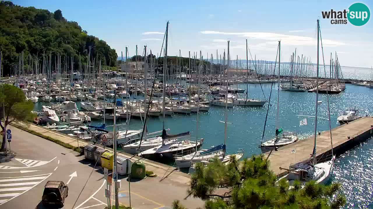 Webcam Sistiana Baia – Live View of the Marina and Gulf