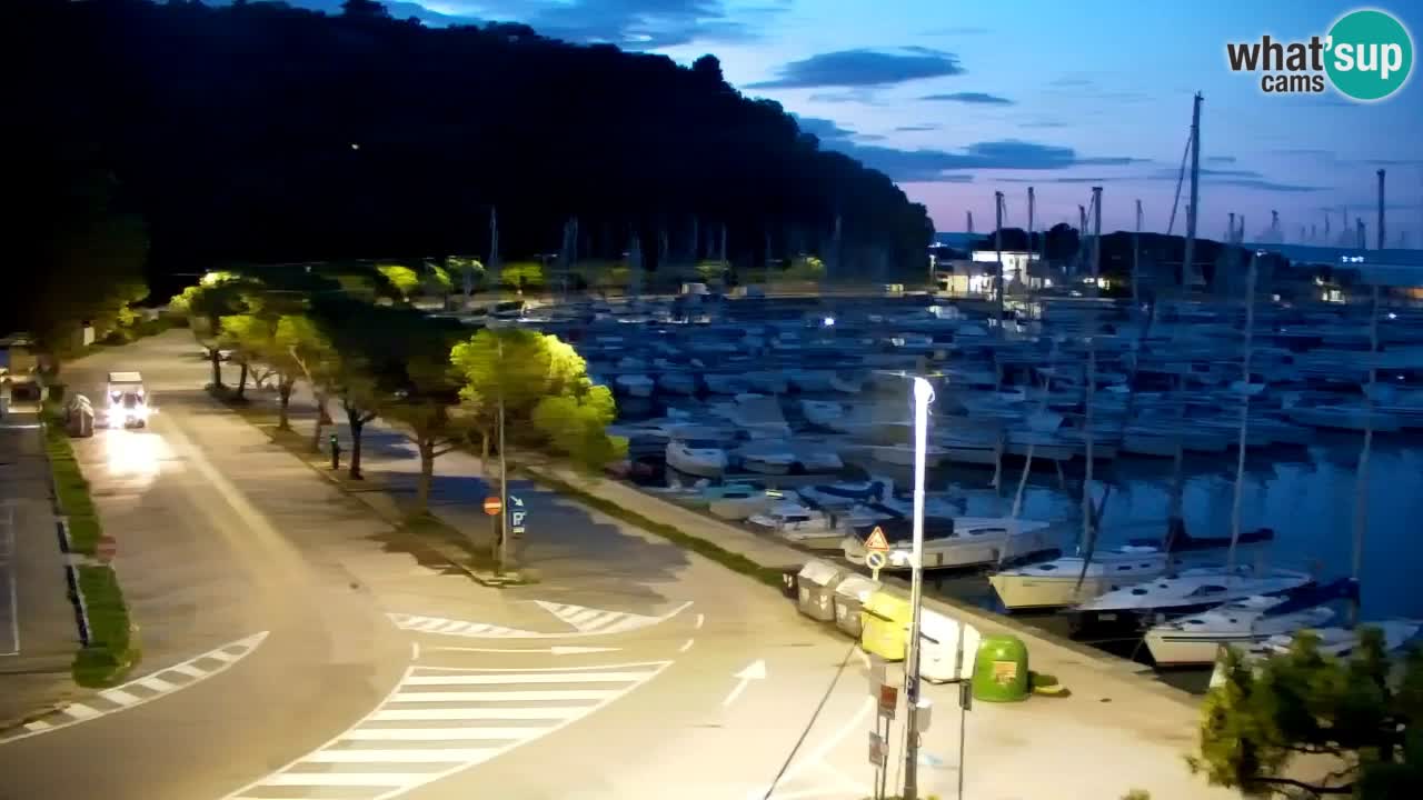 Spletna kamera Sesljanski zaliv – Pogled v živo na marino in zaliv