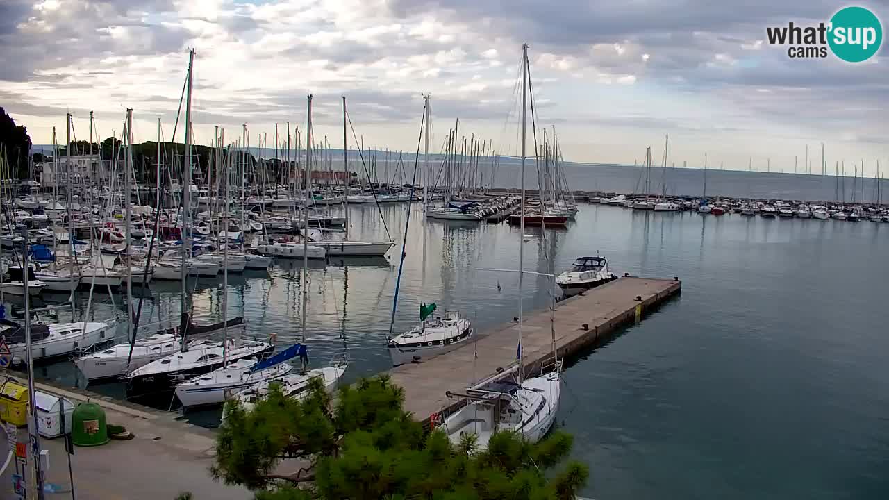 Webcam Sistiana Baia – Live View of the Marina and Gulf