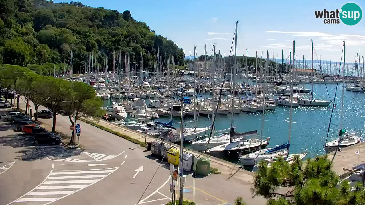 Webcam Sistiana Baia – Live View of the Marina and Gulf