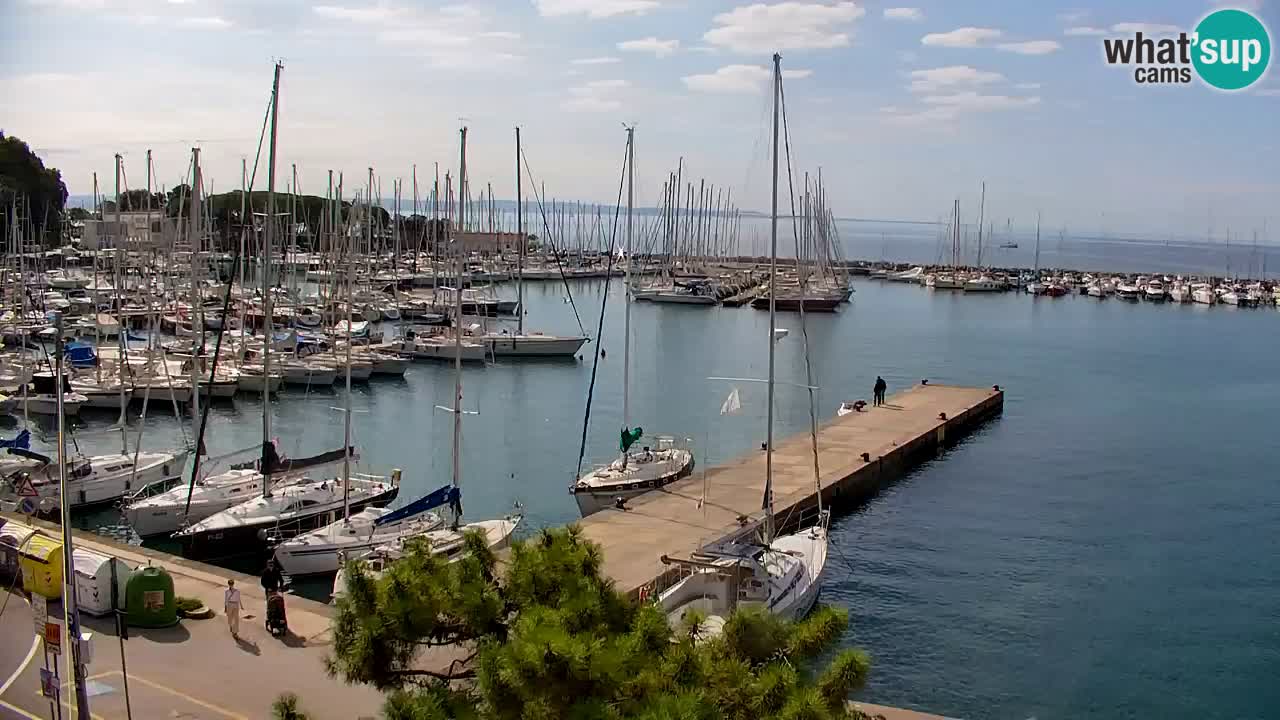 Spletna kamera Sesljanski zaliv – Pogled v živo na marino in zaliv