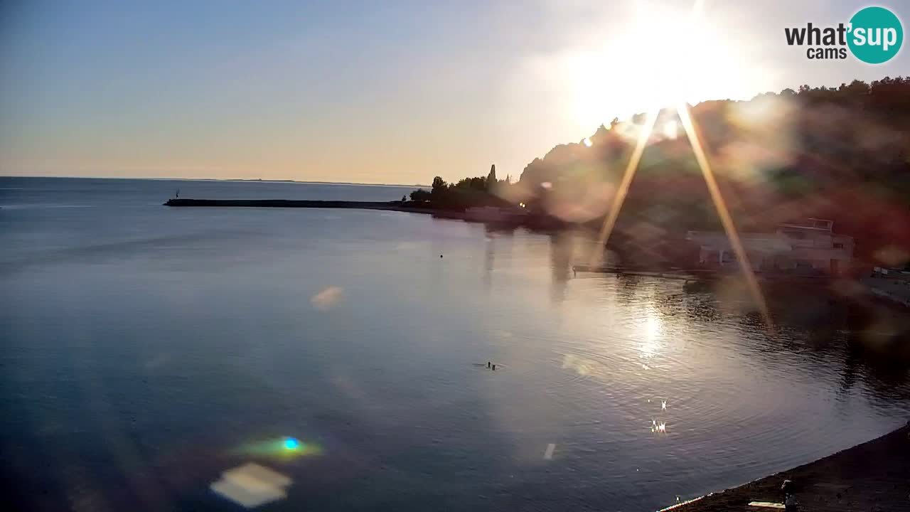 Webcam Sistiana Bucht – Liveblick auf Marina und Bucht