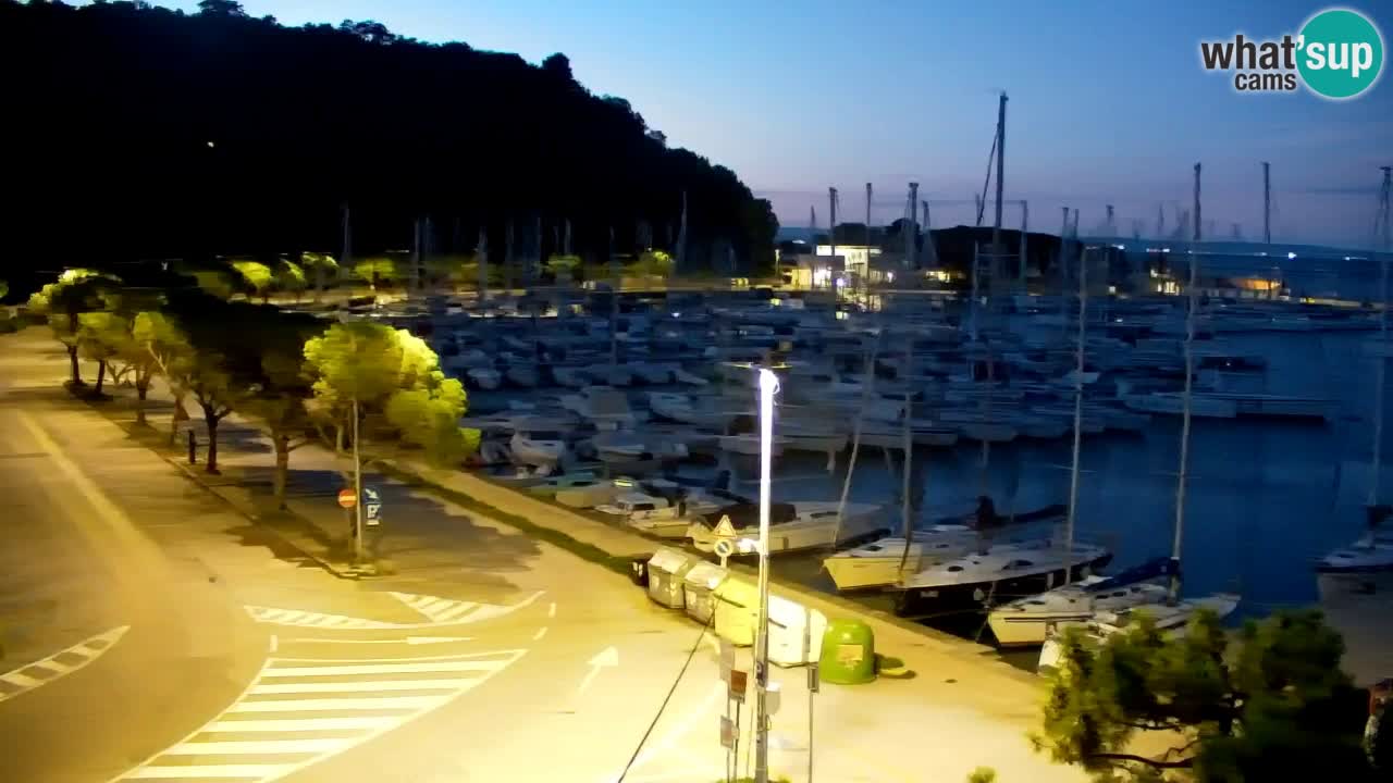 Webcam Bahía de Sistiana – Vista en directo del puerto deportivo y la costa