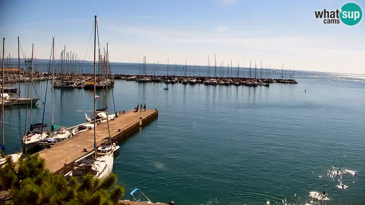 Webcam Bahía de Sistiana – Vista en directo del puerto deportivo y la costa