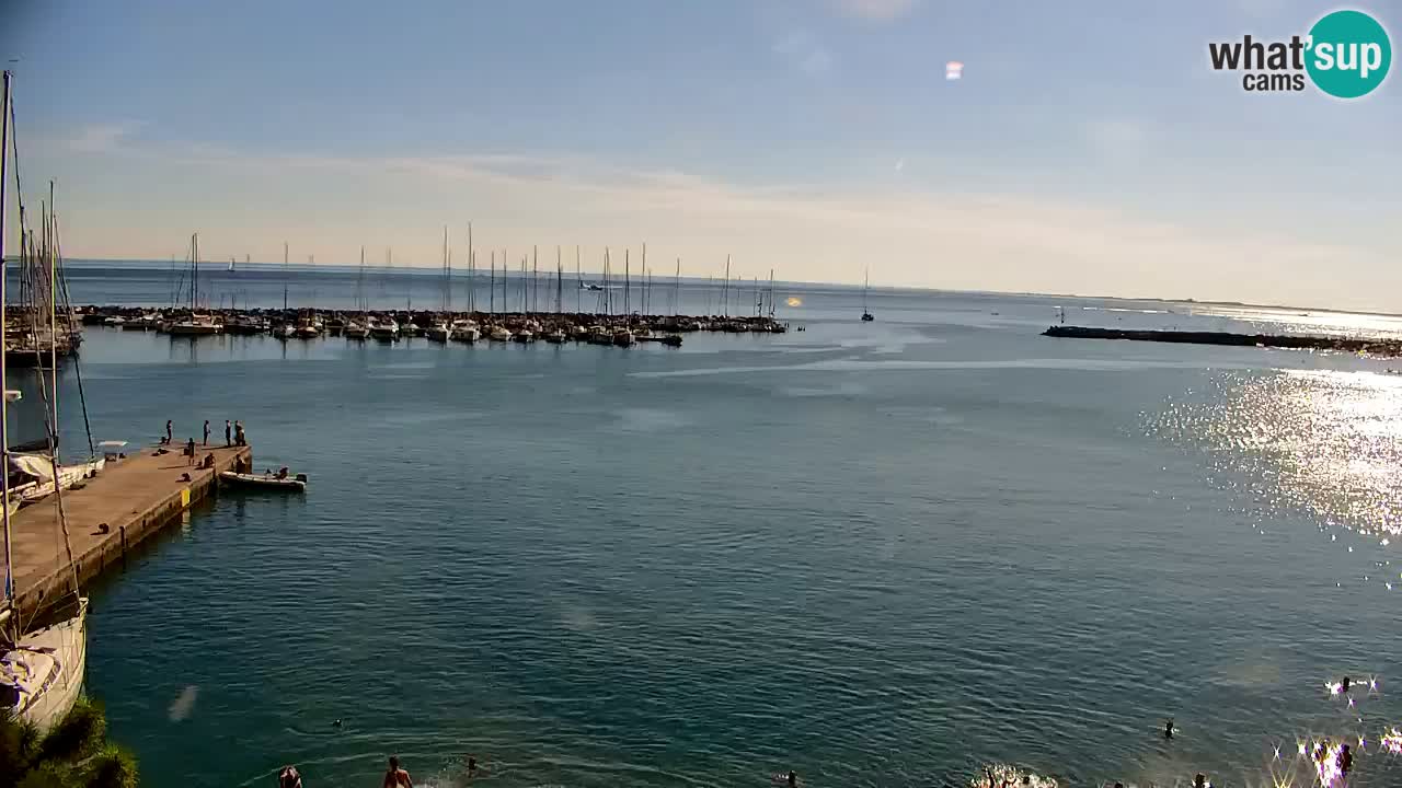 Web kamera Sistiana Uvala – Pogled uživo na marinu i zaljev
