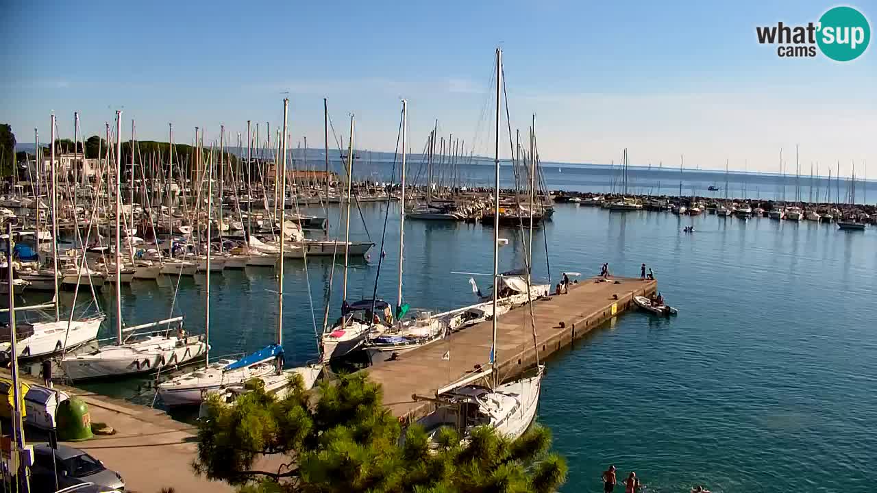 Webcam Sistiana Baia – Live View of the Marina and Gulf