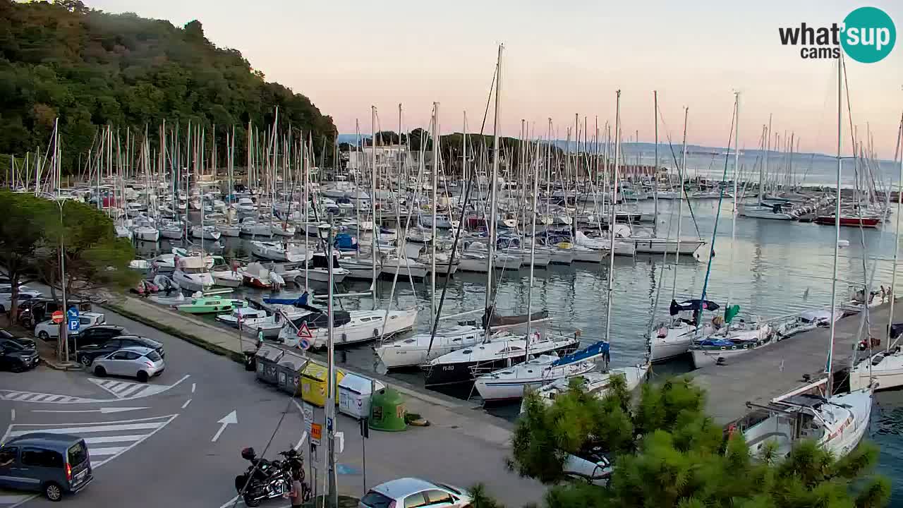 Webcam Sistiana Baia – Live View of the Marina and Gulf