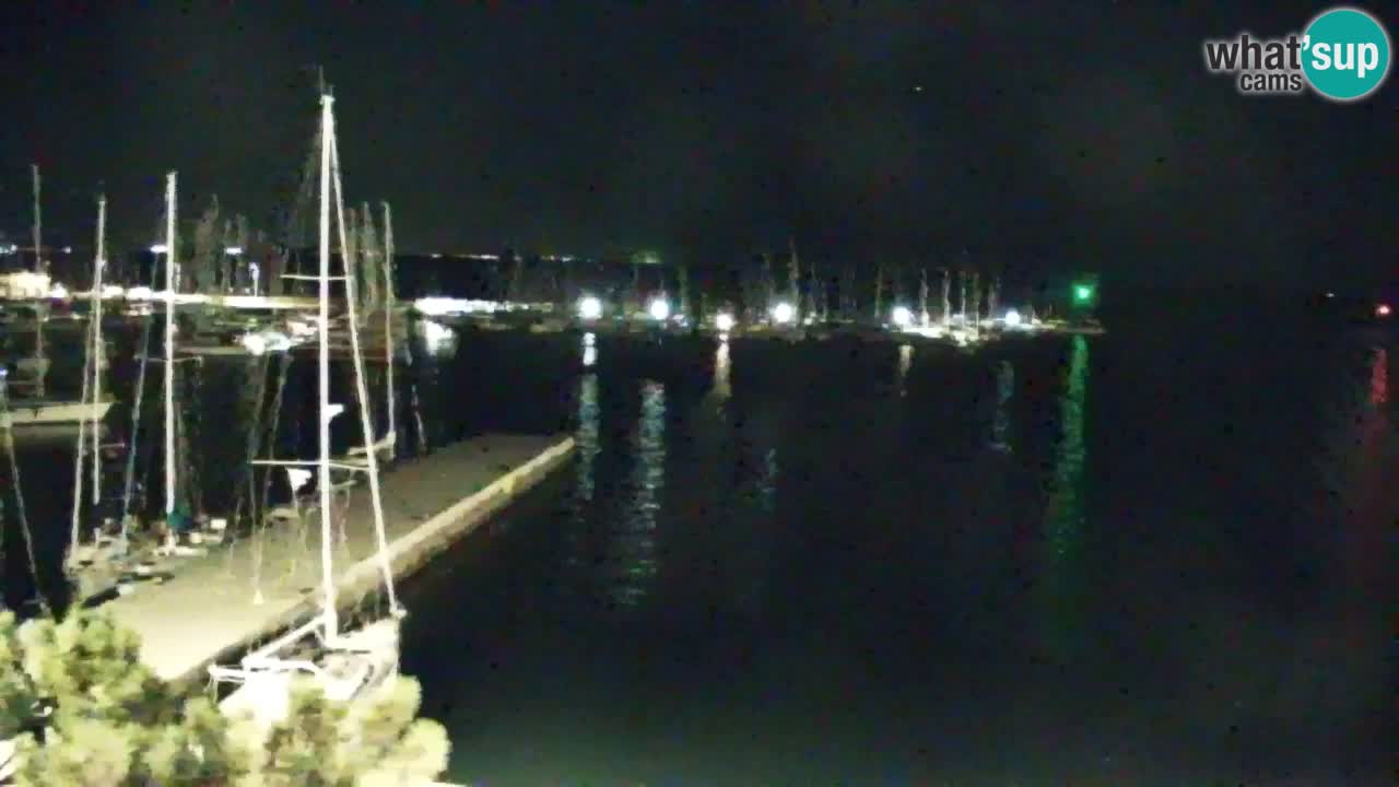 Webcam Sistiana Baia – Live View of the Marina and Gulf
