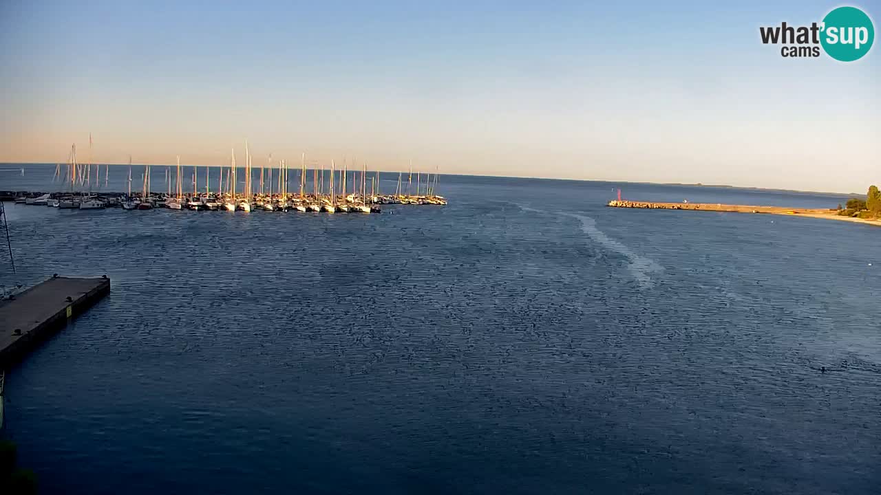 Webcam Sistiana Baia – Live View of the Marina and Gulf