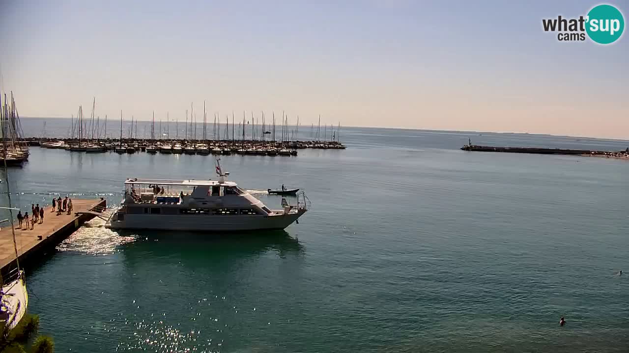 Webcam Sistiana Baia – Live View of the Marina and Gulf