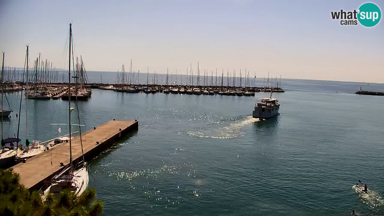 Webcam Bahía de Sistiana – Vista en directo del puerto deportivo y la costa