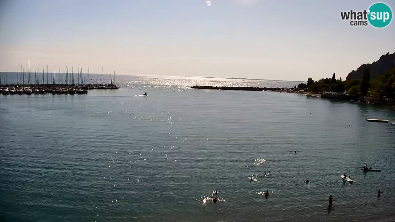 Webcam Sistiana Baia – Live View of the Marina and Gulf