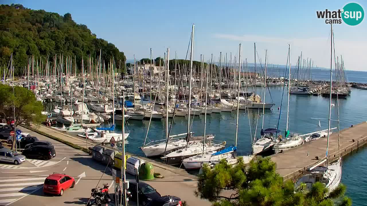 Webcam Bahía de Sistiana – Vista en directo del puerto deportivo y la costa