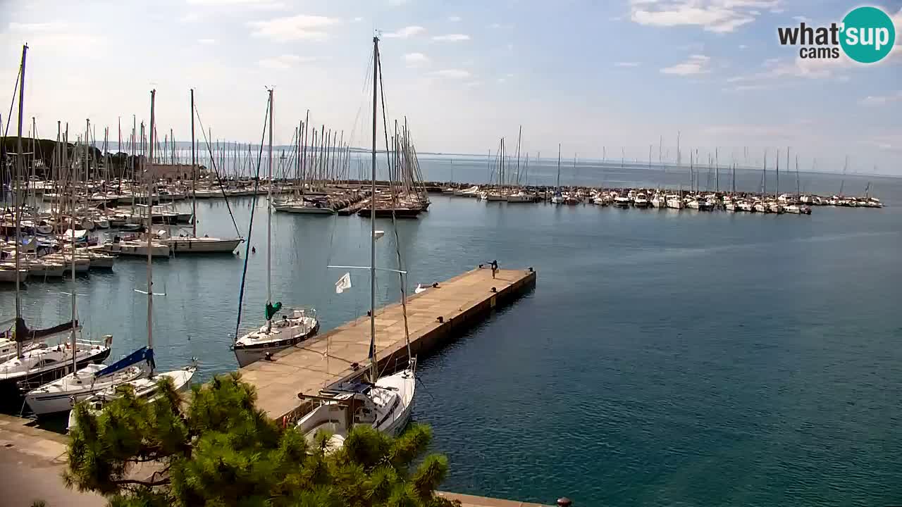 Webcam Sistiana Baia – Live View of the Marina and Gulf