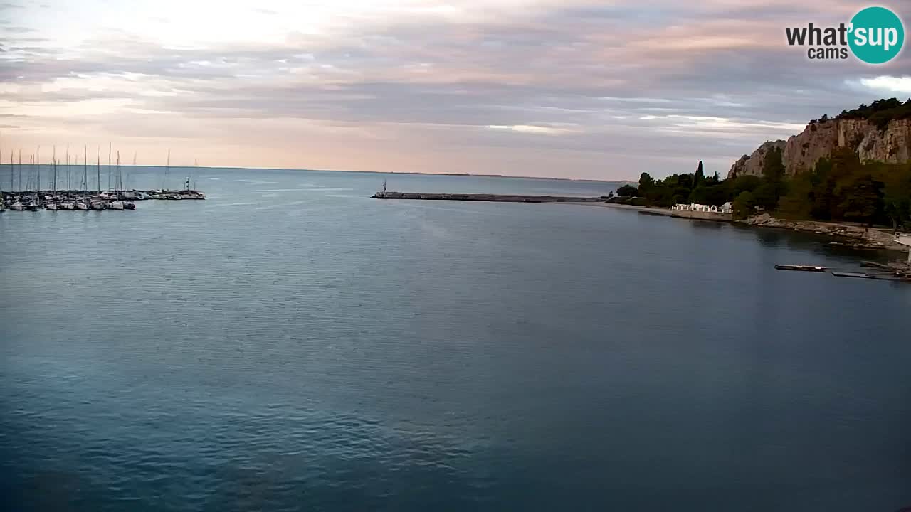 Webcam Sistiana Baia – Live View of the Marina and Gulf