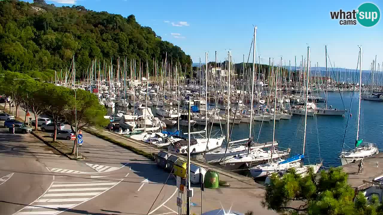 Webcam Bahía de Sistiana – Vista en directo del puerto deportivo y la costa
