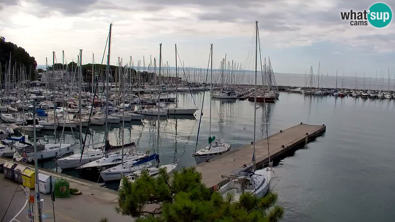 Webcam Bahía de Sistiana – Vista en directo del puerto deportivo y la costa