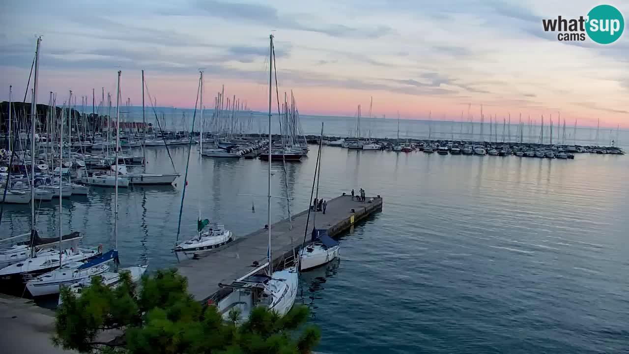 Webcam Sistiana Baia – Live View of the Marina and Gulf