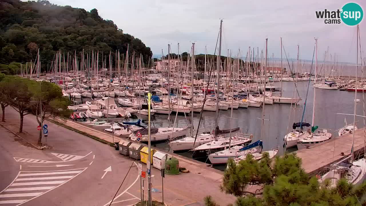 Webcam Sistiana Baia – Live View of the Marina and Gulf