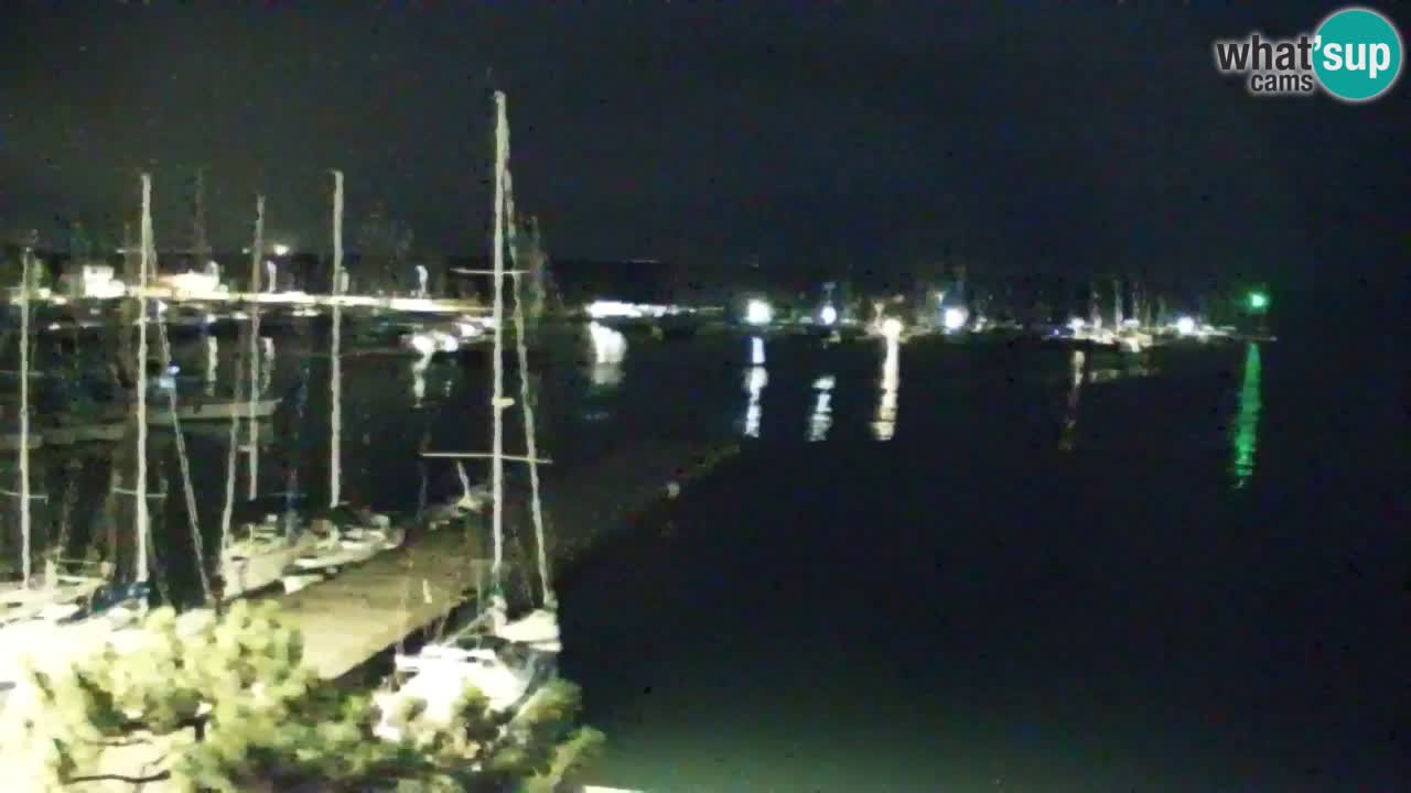 Webcam Sistiana Baia – Live View of the Marina and Gulf
