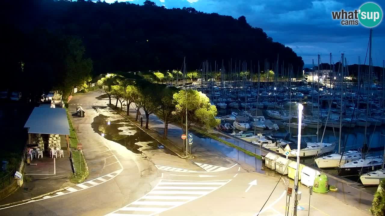 Webcam Bahía de Sistiana – Vista en directo del puerto deportivo y la costa