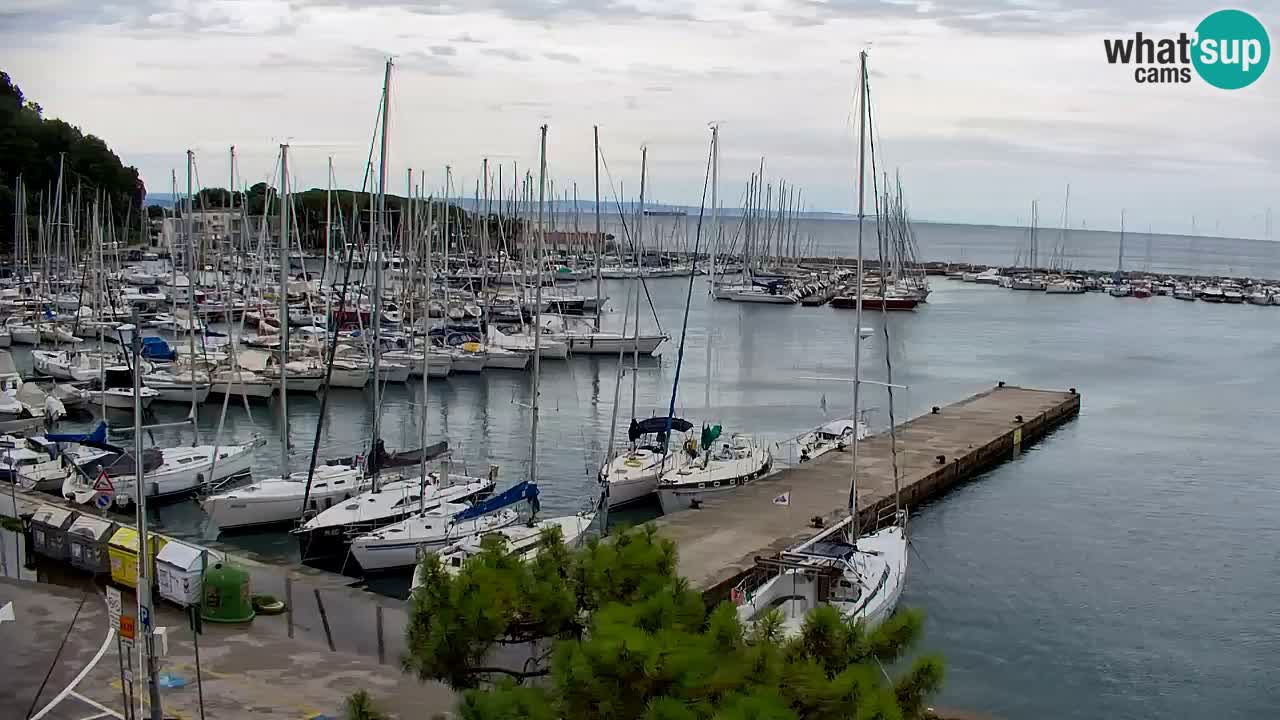 Webcam Sistiana Bucht – Liveblick auf Marina und Bucht