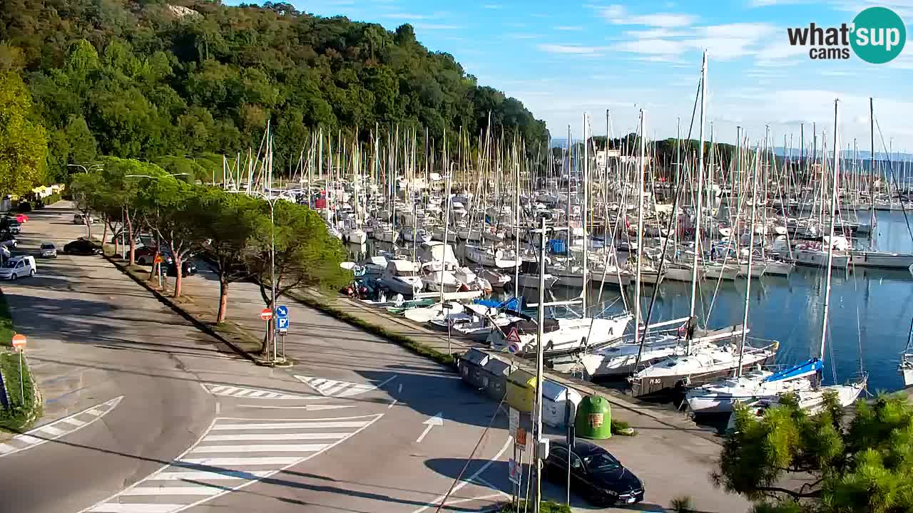 Webcam Sistiana Baia – Live View of the Marina and Gulf