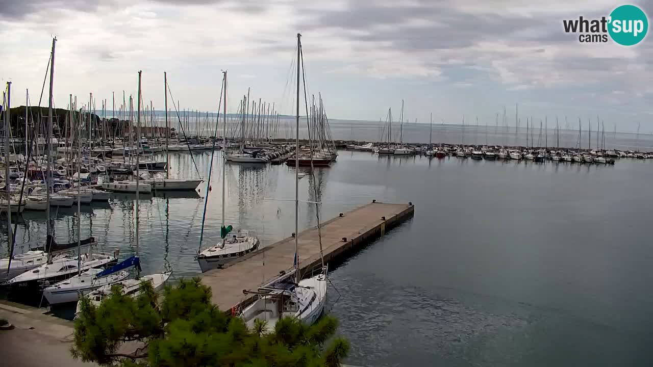 Webcam Sistiana Baia – Live View of the Marina and Gulf