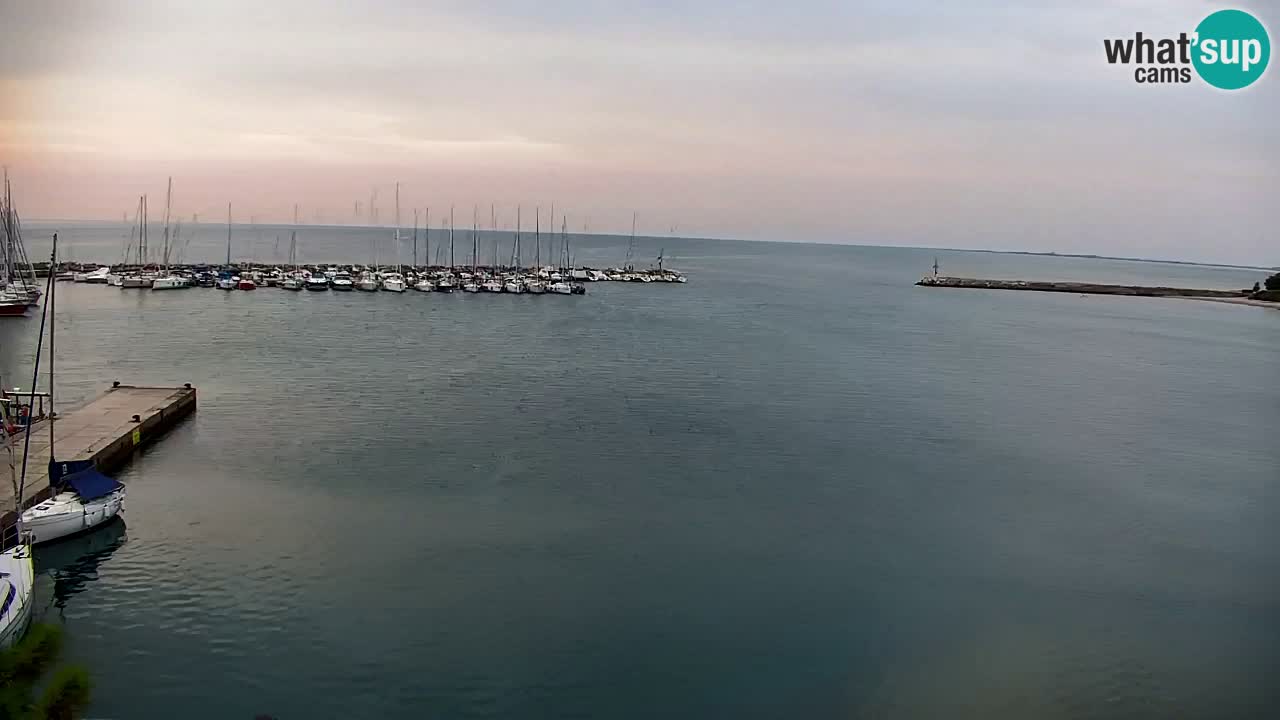 Webcam Bahía de Sistiana – Vista en directo del puerto deportivo y la costa