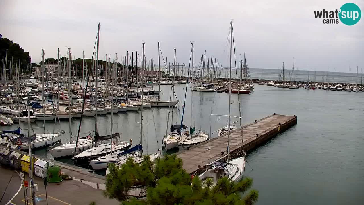 Webcam Sistiana Baia – Live View of the Marina and Gulf