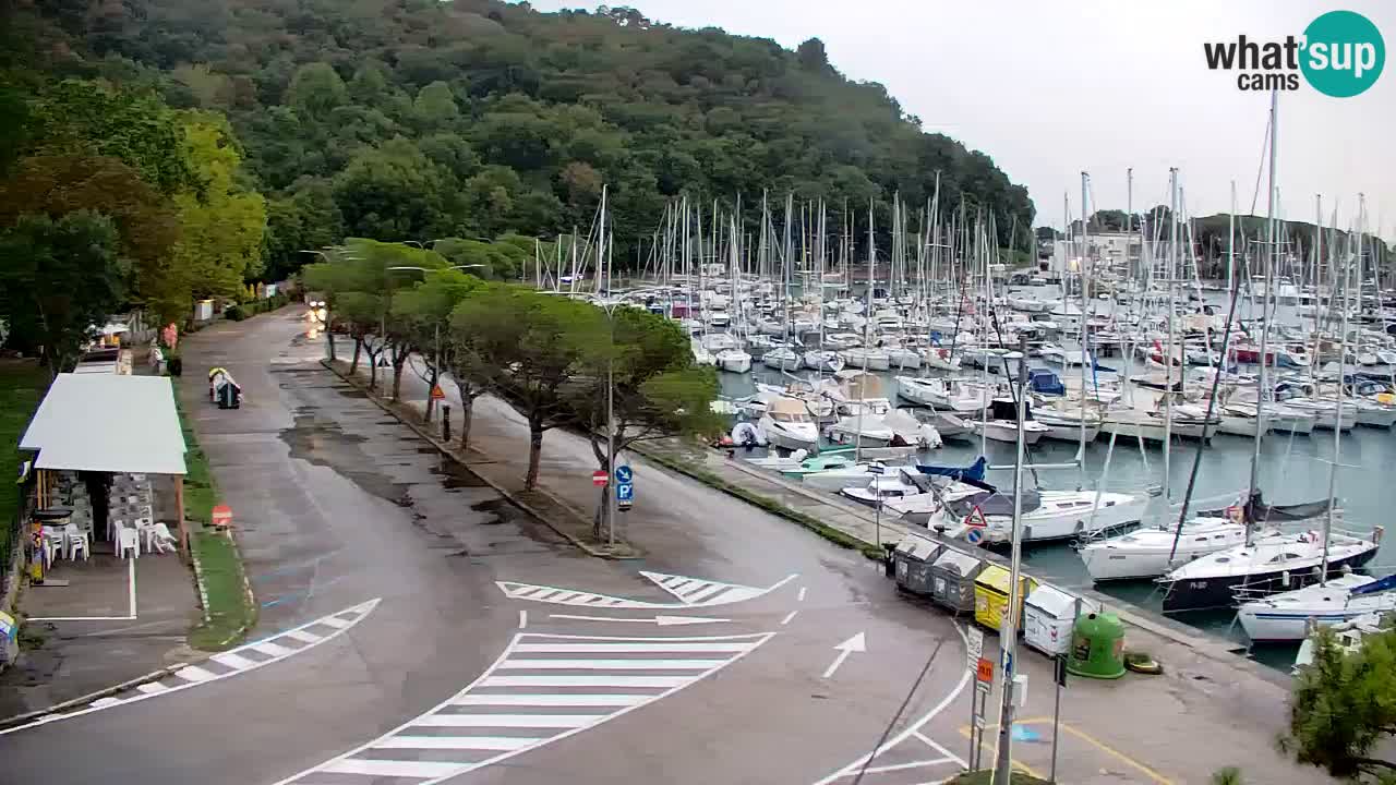 Webcam Sistiana Baia – Live View of the Marina and Gulf