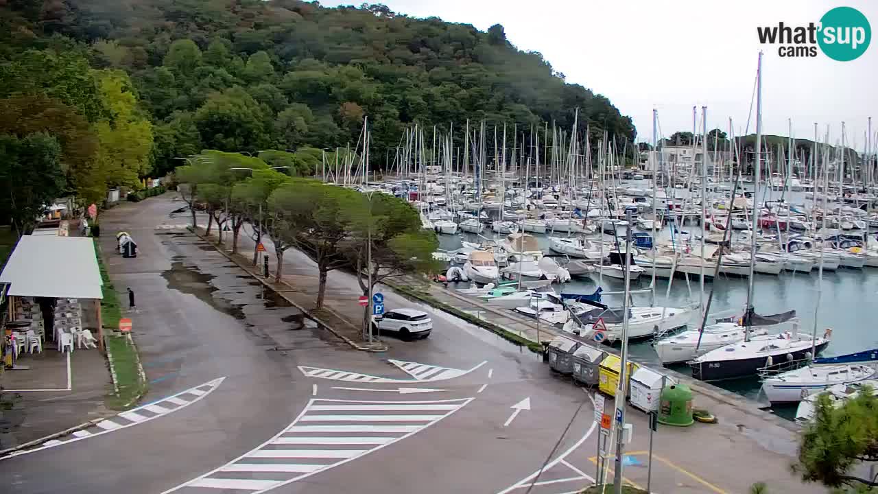 Webcam Sistiana Baia – Live View of the Marina and Gulf