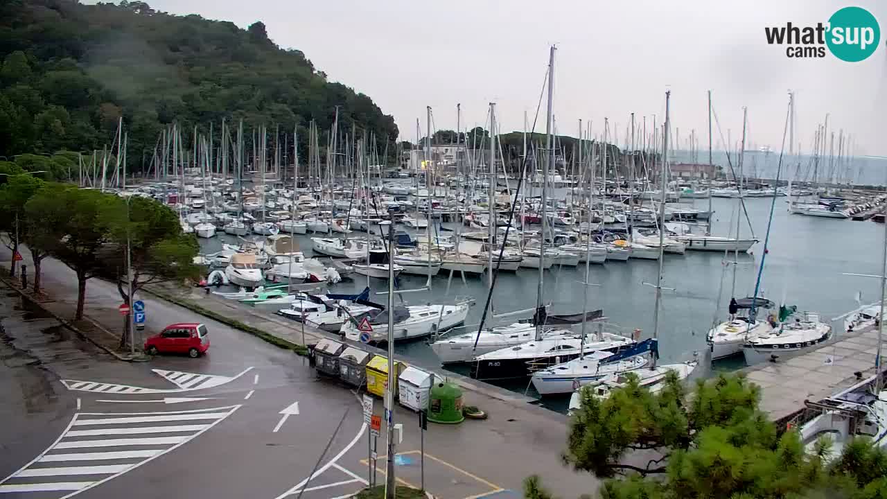 Webcam Sistiana Baia – Live View of the Marina and Gulf