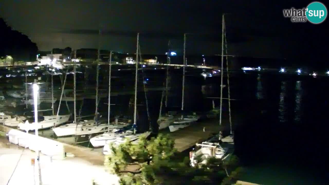 Webcam Bahía de Sistiana – Vista en directo del puerto deportivo y la costa