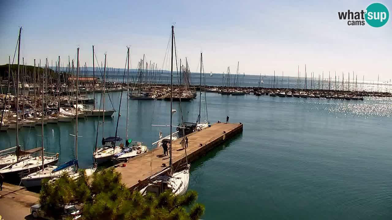 Webcam Sistiana Baia – Live View of the Marina and Gulf