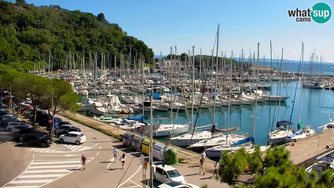 Webcam Sistiana Baia – Live View of the Marina and Gulf