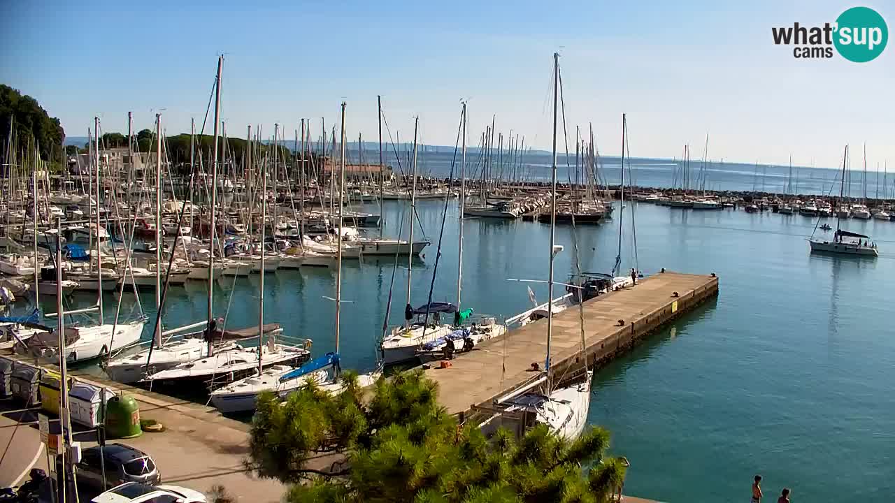 Webcam Sistiana Baia – Live View of the Marina and Gulf