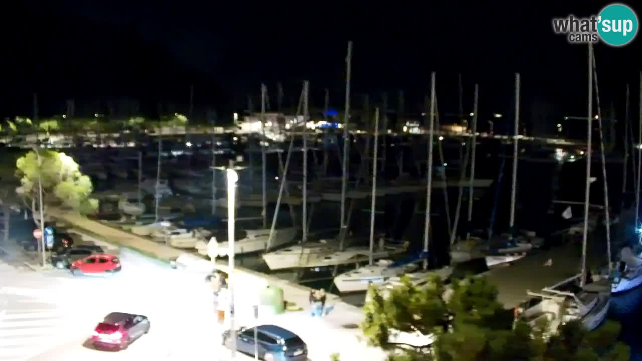 Webcam Bahía de Sistiana – Vista en directo del puerto deportivo y la costa
