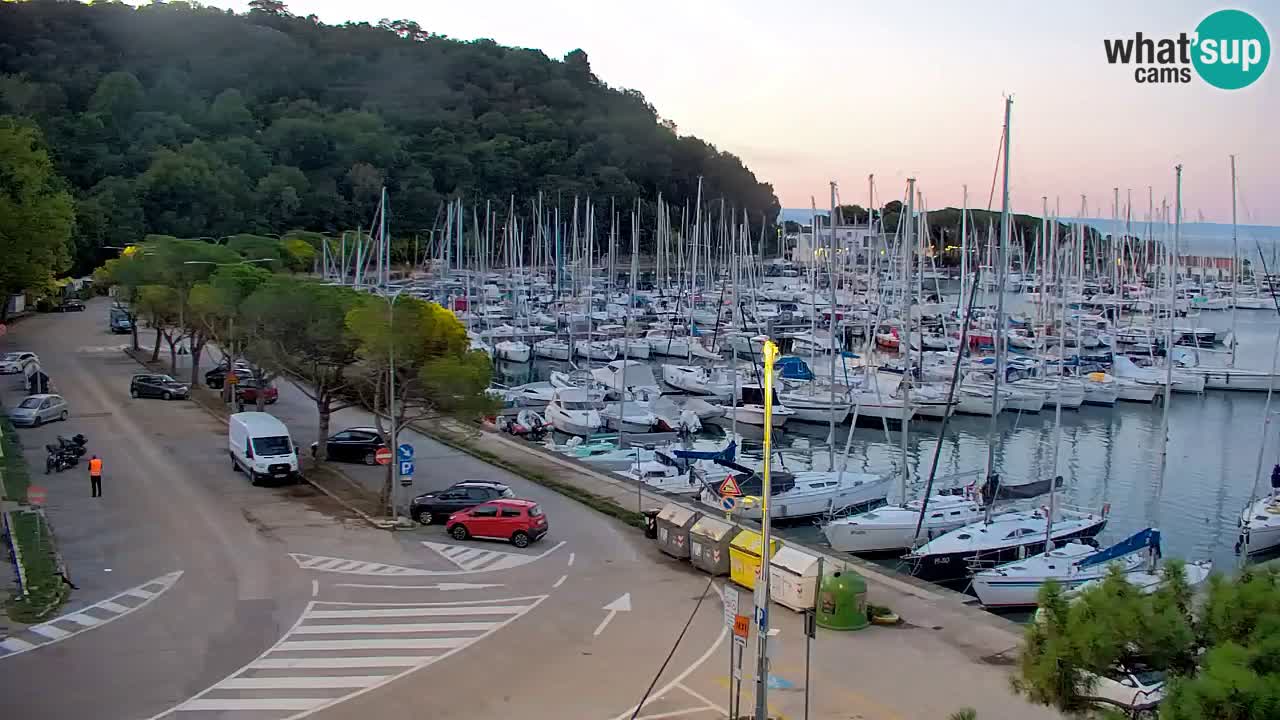 Webcam Sistiana Baia – Live View of the Marina and Gulf