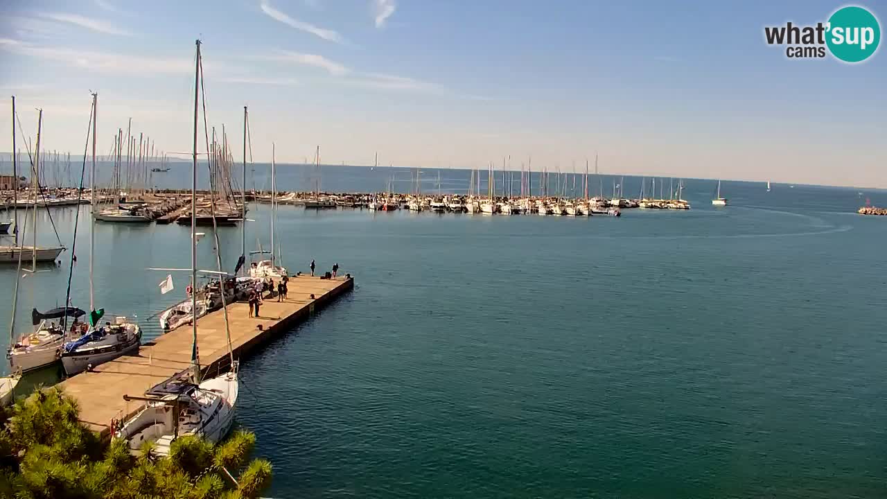 Webcam Sistiana Baia – Live View of the Marina and Gulf