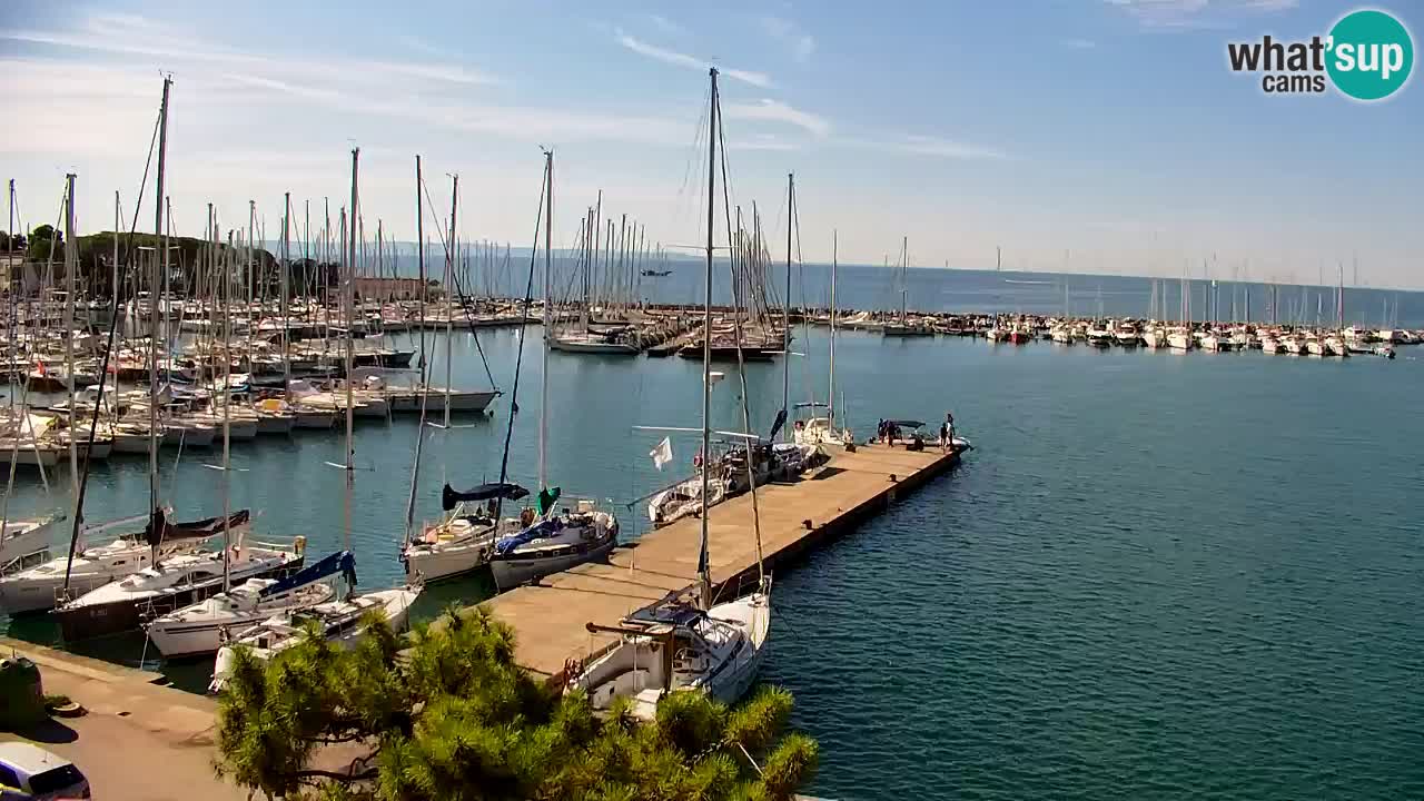 Webcam Bahía de Sistiana – Vista en directo del puerto deportivo y la costa