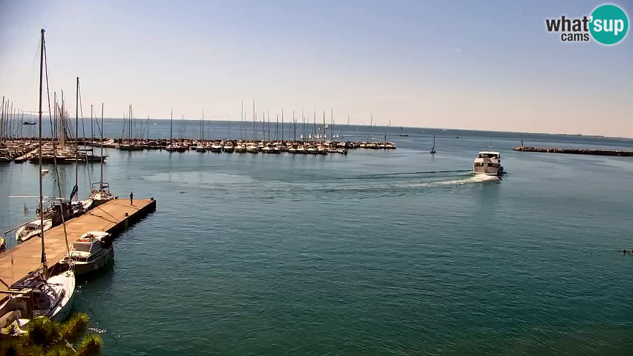 Webcam Baie de Sistiana – Vue en direct de la marina et de la baie