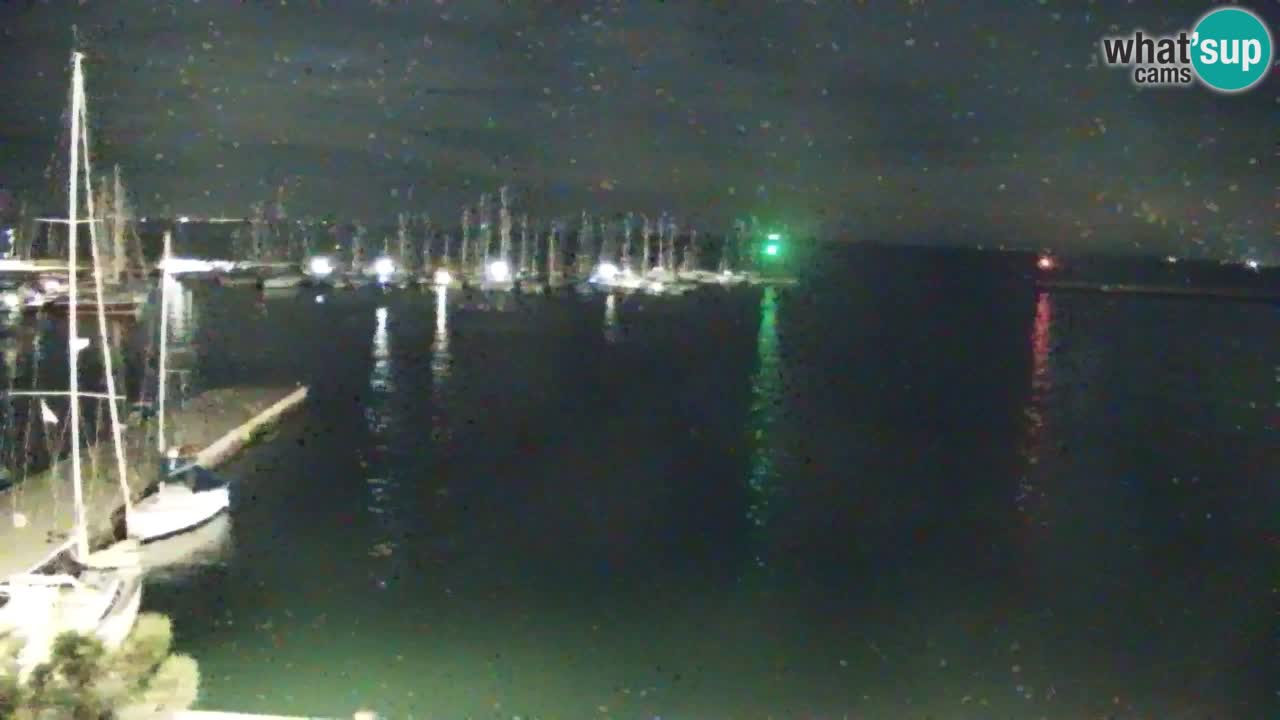 Web kamera Sistiana Uvala – Pogled uživo na marinu i zaljev