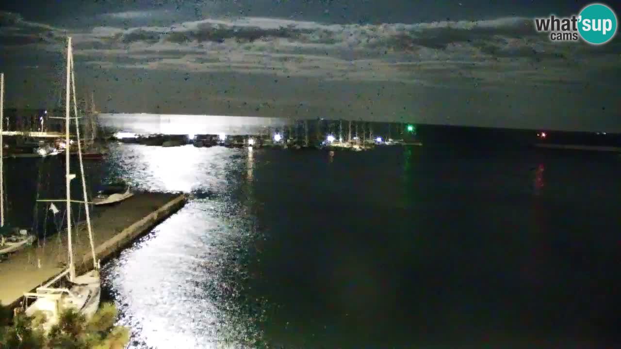 Webcam Sistiana Baia – Live View of the Marina and Gulf